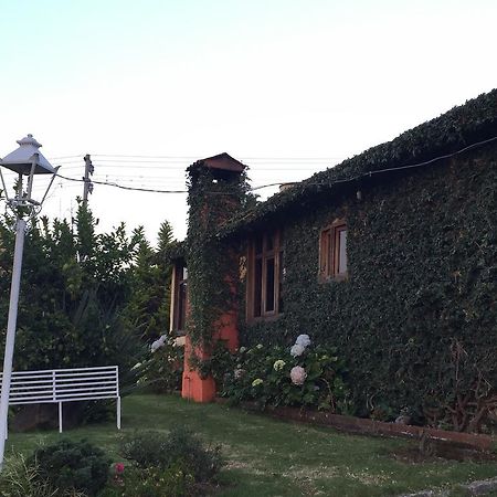 Cabanas En Mazamitla Betito别墅 外观 照片