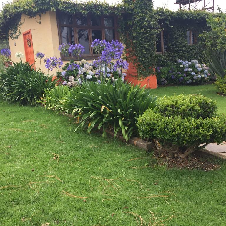 Cabanas En Mazamitla Betito别墅 外观 照片